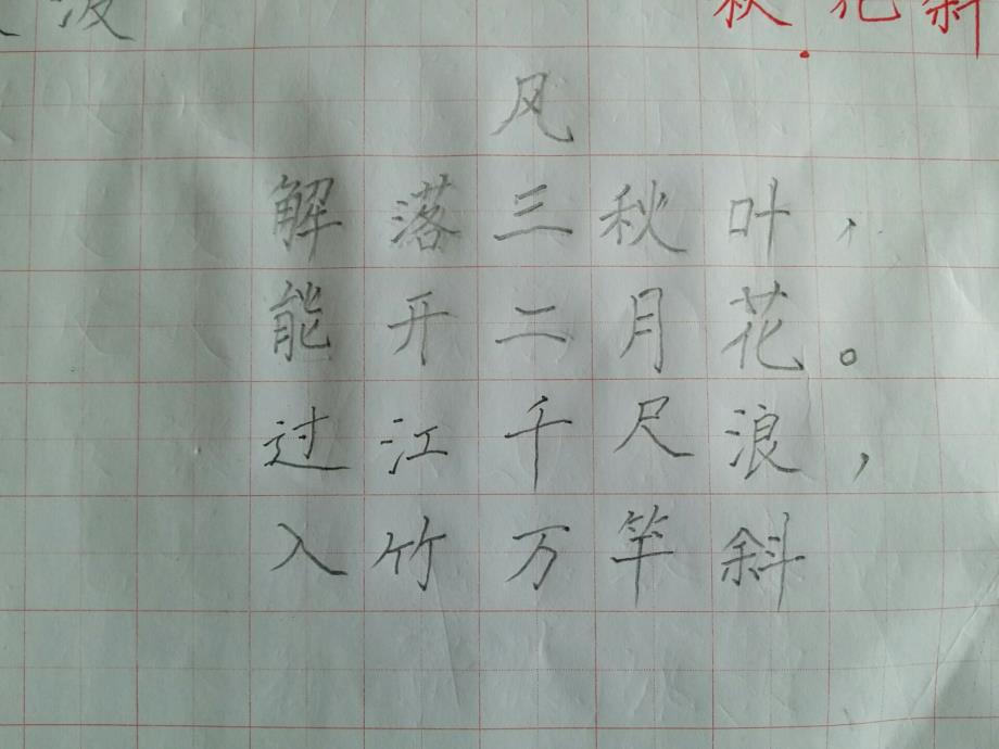 少儿硬笔班学员楷书作业